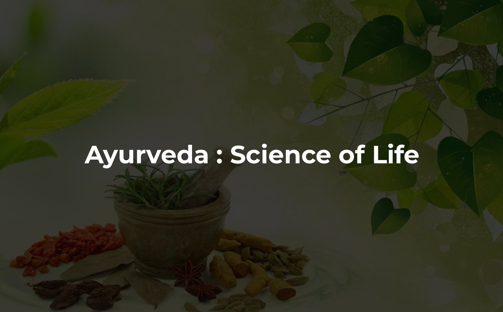 Nimbark Ayurved Banner